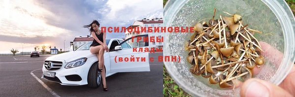сатива Карпинск