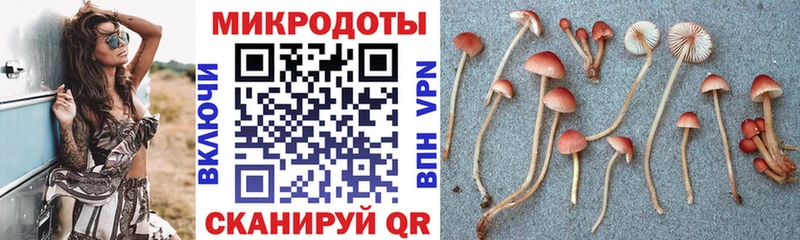 Псилоцибиновые грибы прущие грибы Заполярный